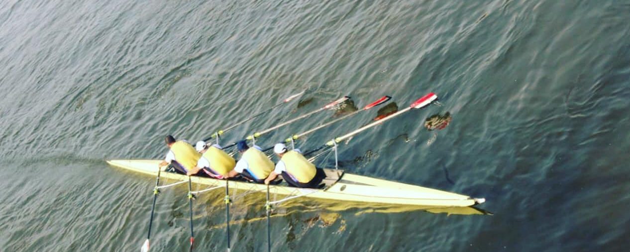 Blade Parallels in Rowing