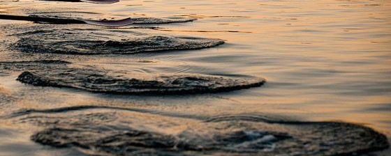 Lessons from rowing puddles