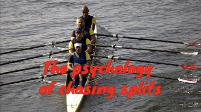 a mens rowing quad viewed overhead